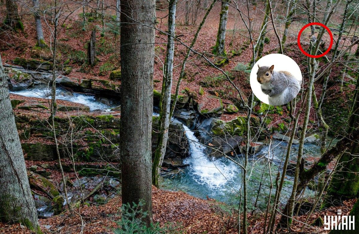 Moje-collage, Moje-foto, Nemes Janosz
