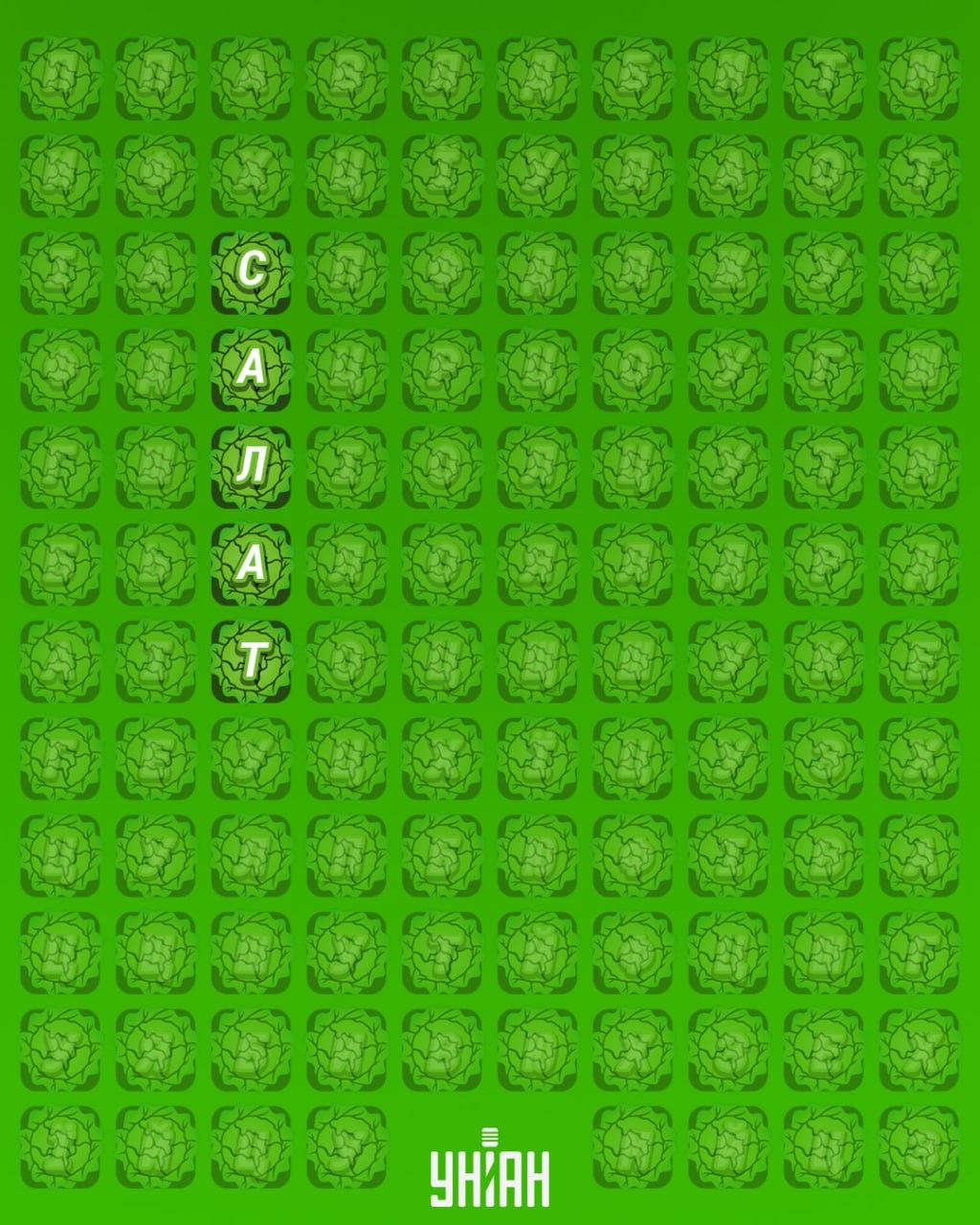 98 % av befolkningen klarer ikke å finne ordet 