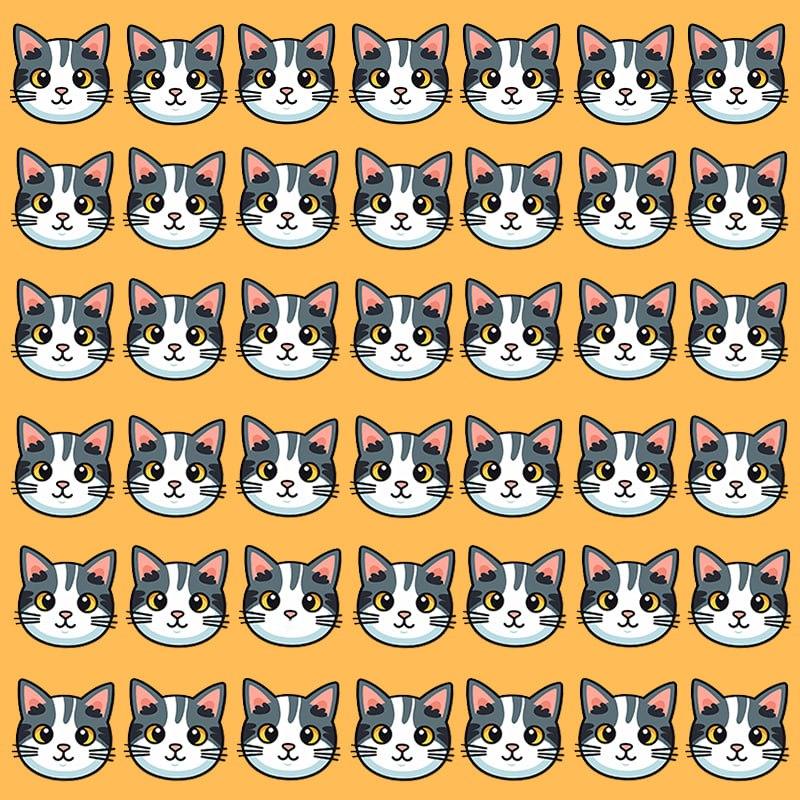 Denne optiske illusjonen er bare mulig for personer med grandios IQ / Moje image