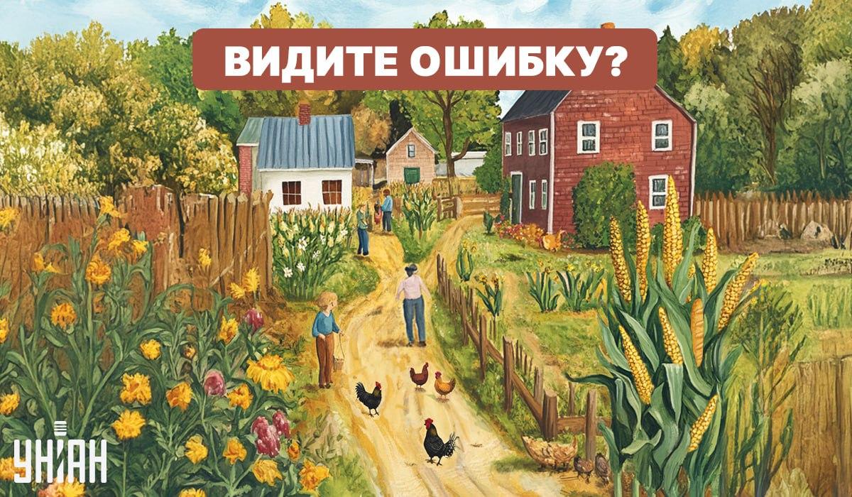 En vanskelig IQ-test: Du må finne en feil raskt