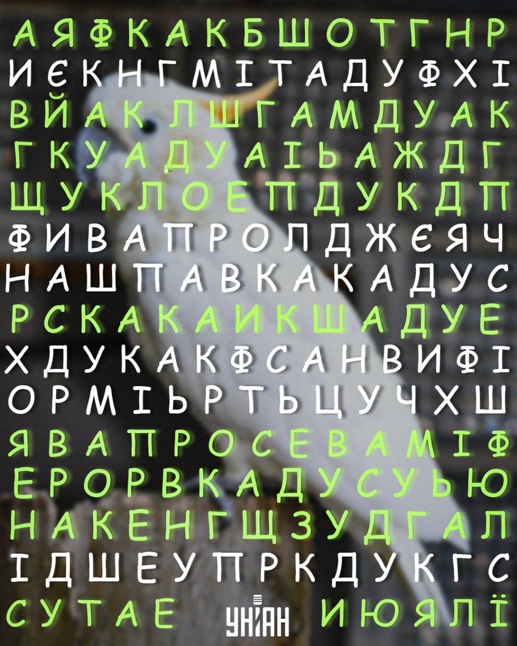 Moje-collage Moje-collage