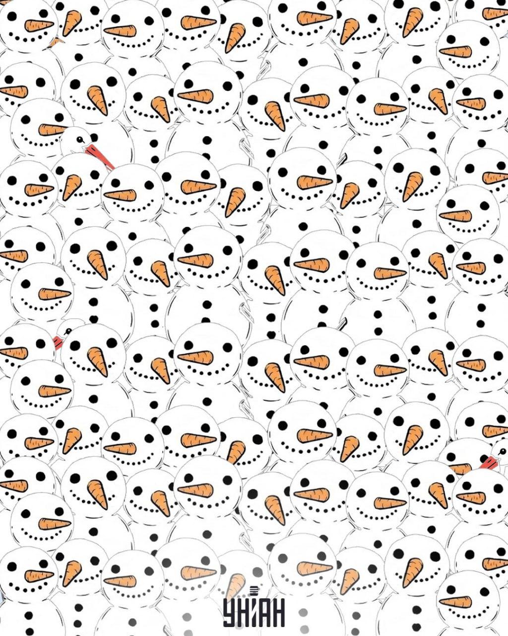 Finn 3 storker blant snømenn på 11 sekunder: en fantastisk optisk illusjon