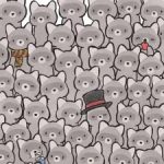 Et puslespill for ekte genier: Finn katten blant vaskebjørnene på